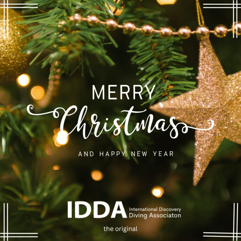 IDDA Christmas 2024